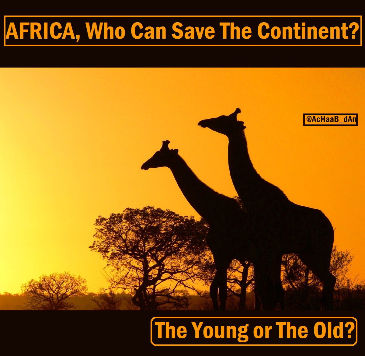 Каждое утро в африке. Африка плакат. Год Африки плакат. С добрым утром Африка плакат. Плакат по Африке с текста.
